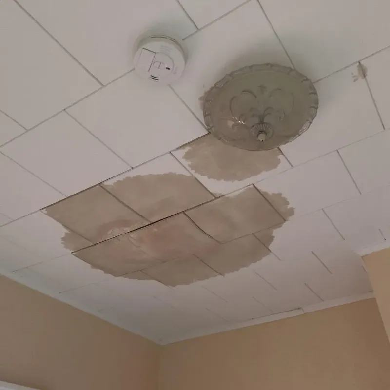Ceiling Water Damage Repair in Freeport, PA
